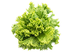 mod_image